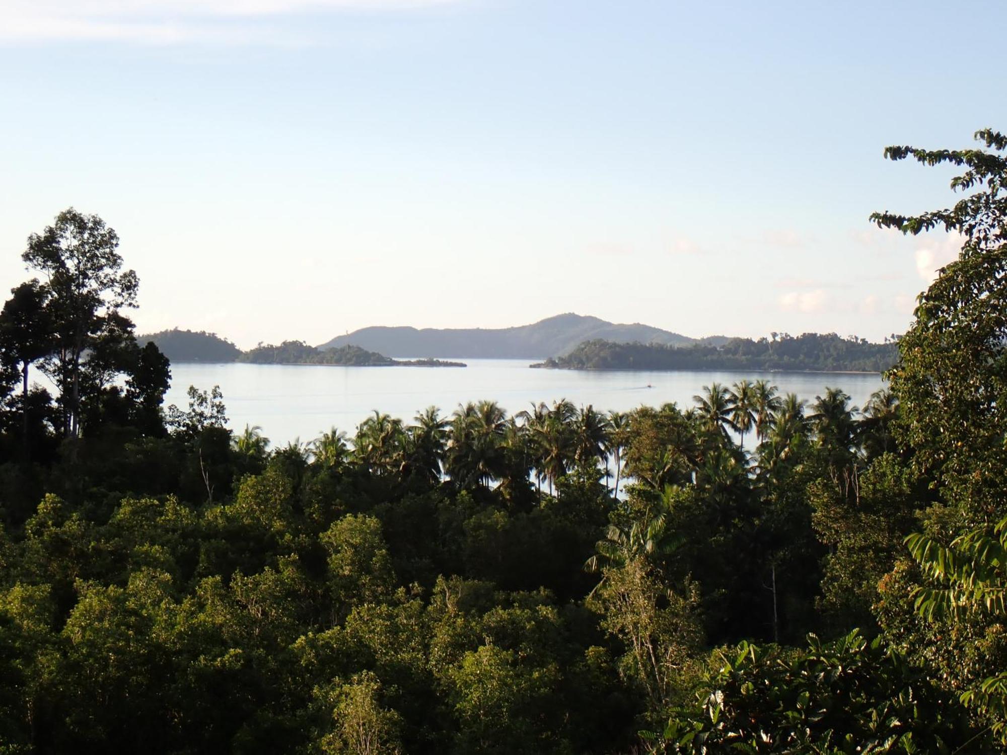 Tentstar Eco Resort San Vicente  Εξωτερικό φωτογραφία